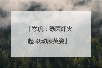 岑巩：绿茵烽火起 跃动展英姿